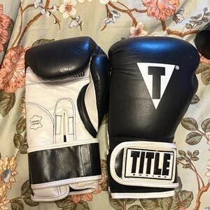 Title boxing pro style leather boxing gloves 14 ounce